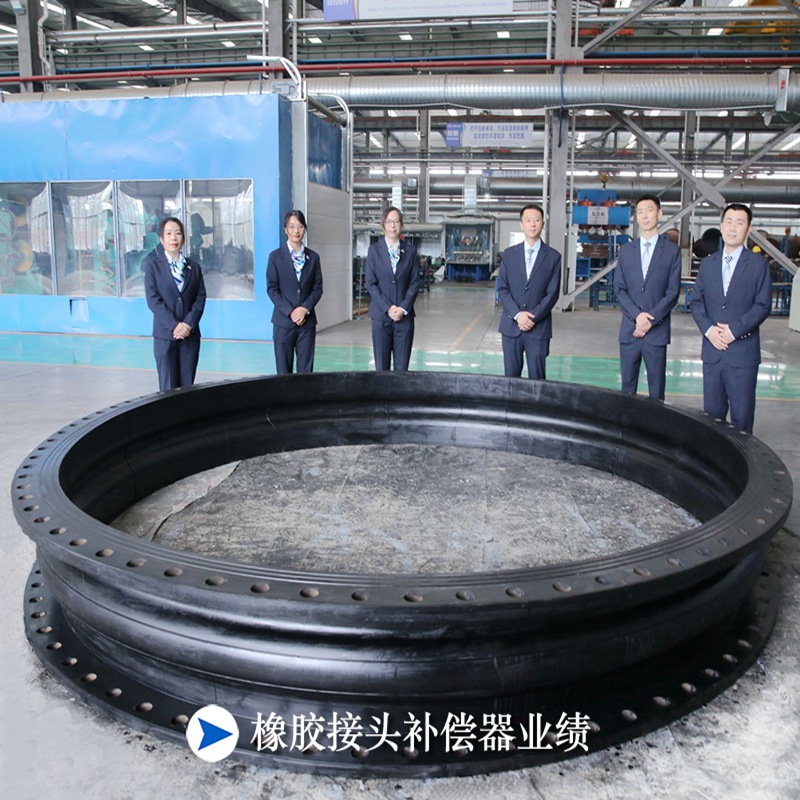 1000MW機組電力（lì）橡膠接（jiē）頭業績